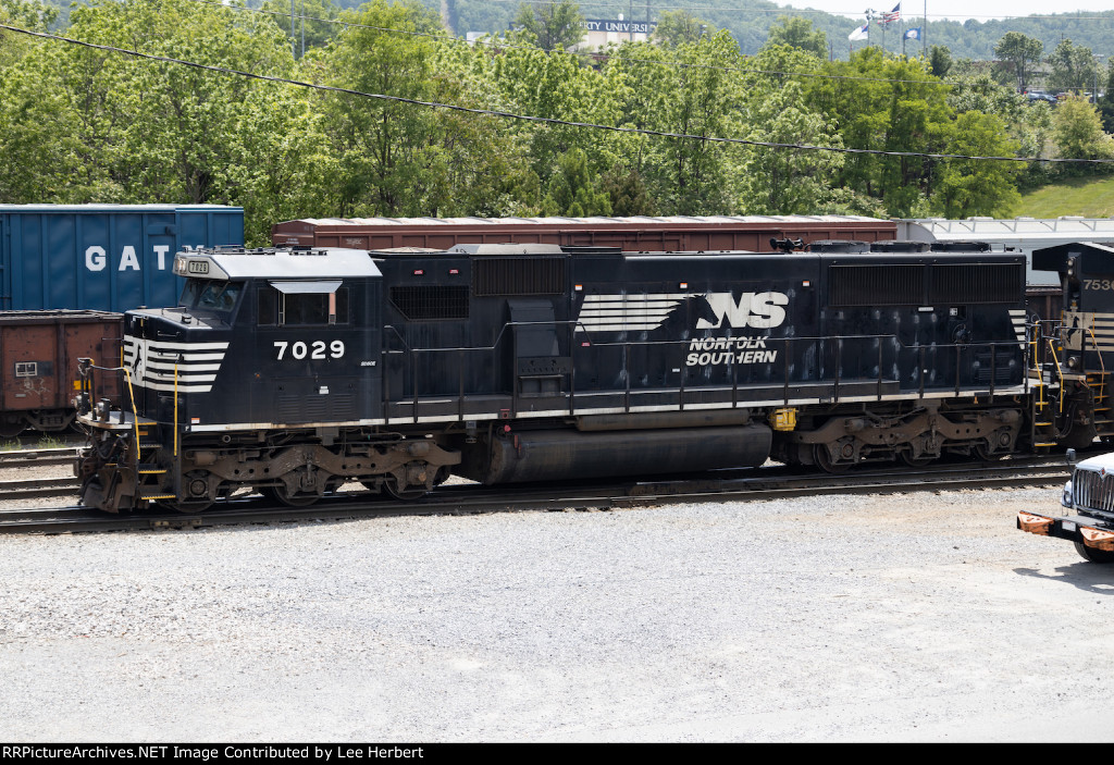 NS 7029